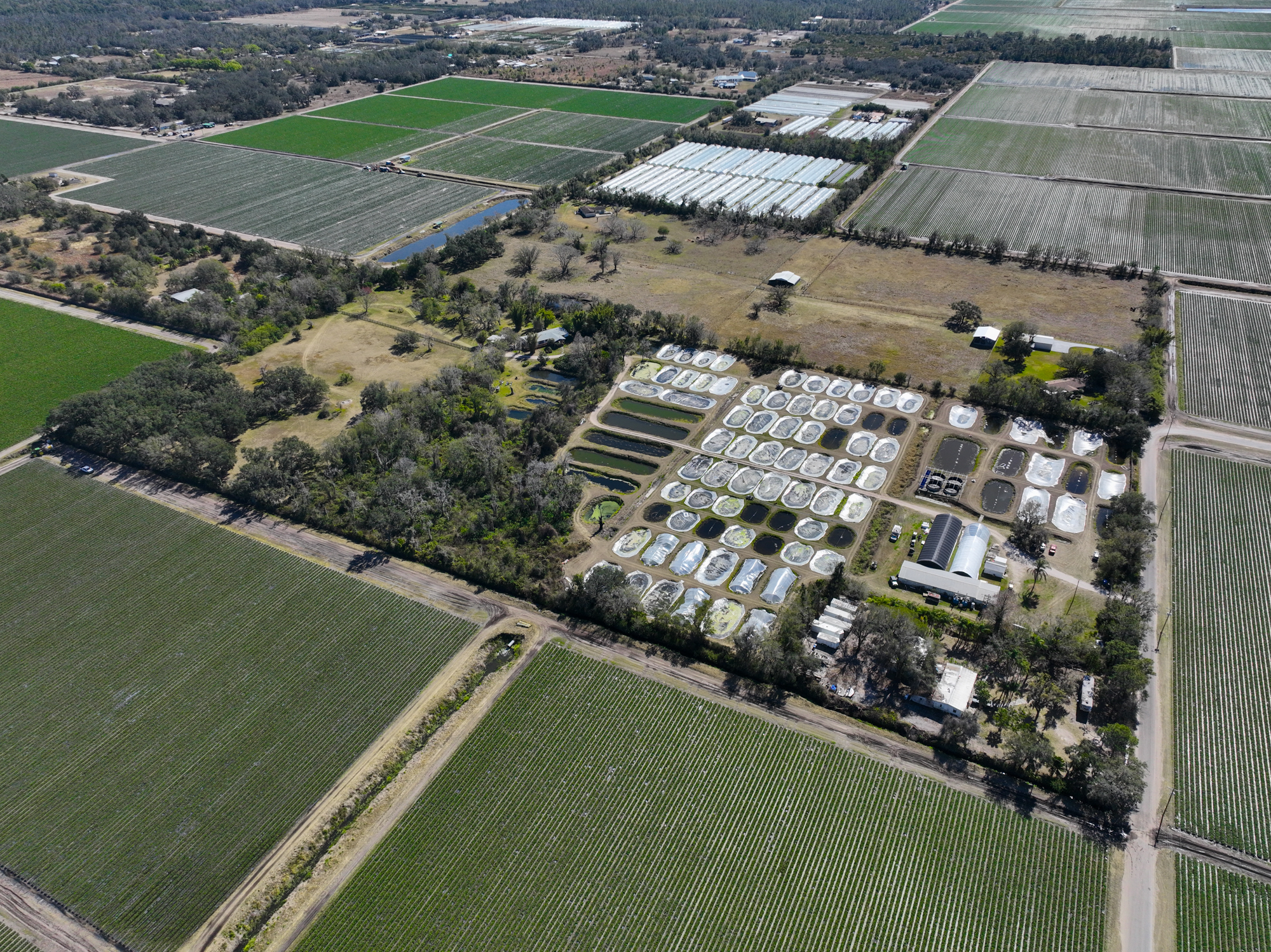 Wimauma, Florida, 33598, United States, 3 Bedrooms Bedrooms, ,2 BathroomsBathrooms,Residential,For Sale,2016610