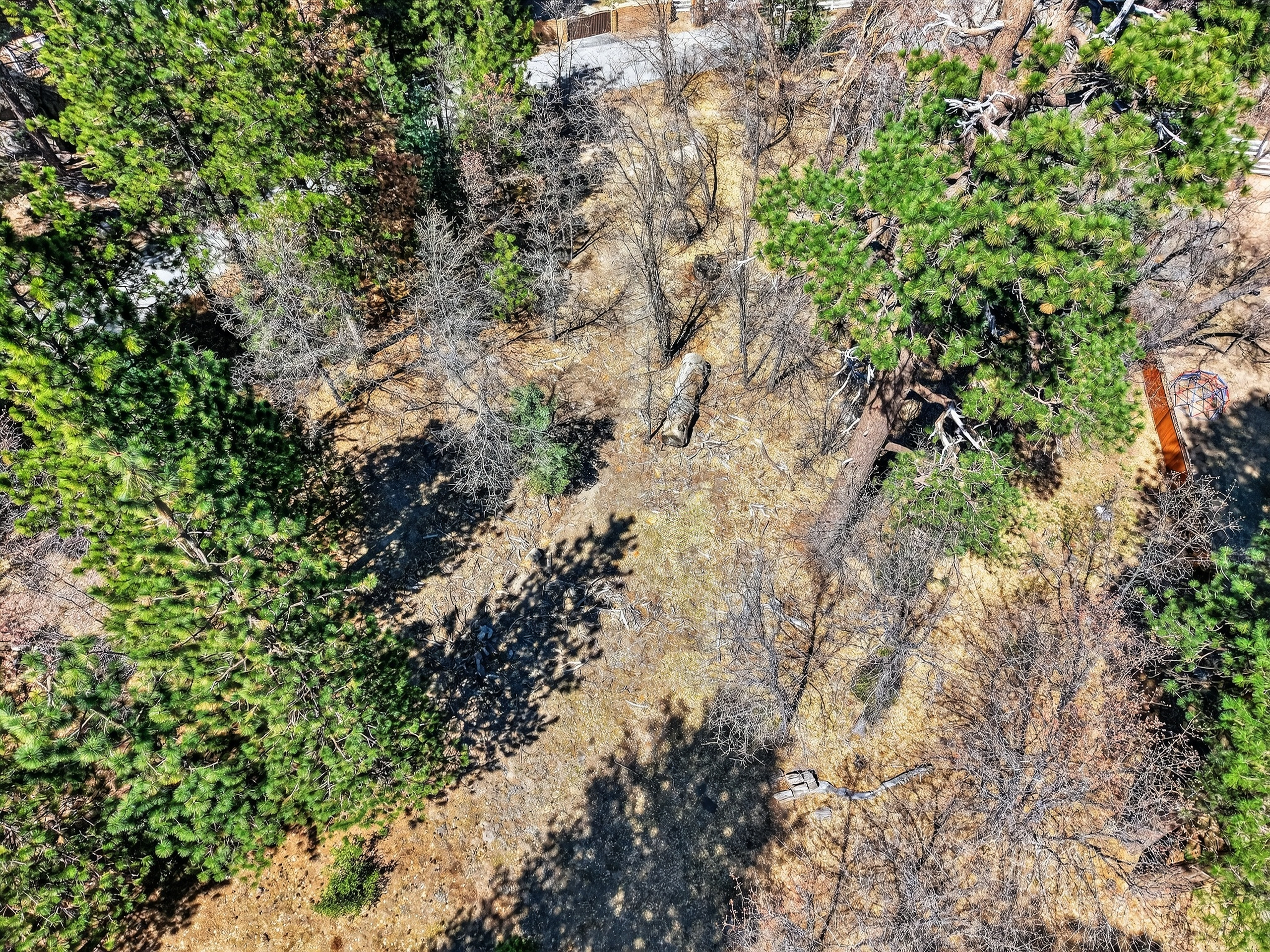  0 Cepu Rd, Running Springs , CA 92382 - 物件實景