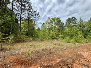 Naples, Texas, 75568, United States, ,Land,For Sale,1786234