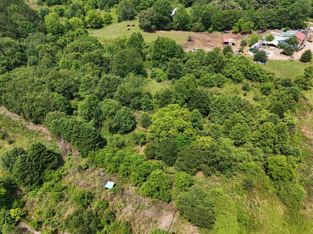 Jefferson, Georgia, 30549, United States, ,Land,For Sale,1941783