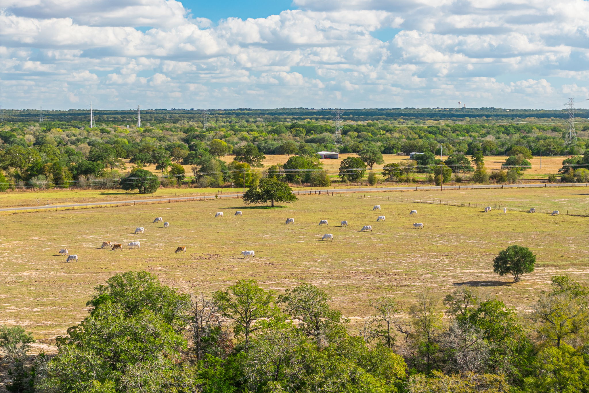  Bar Nothing Ranch, Fayette County - 物件實景