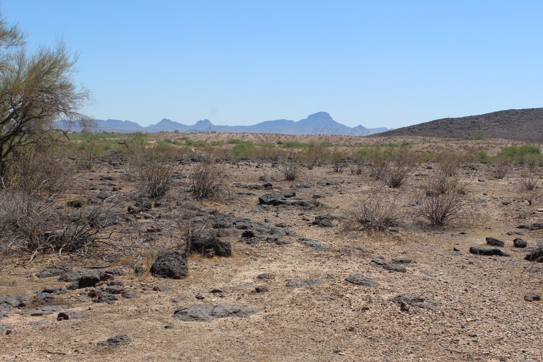  11 S 337th Avenue, Arlington, AZ, 85322 - 物件實景