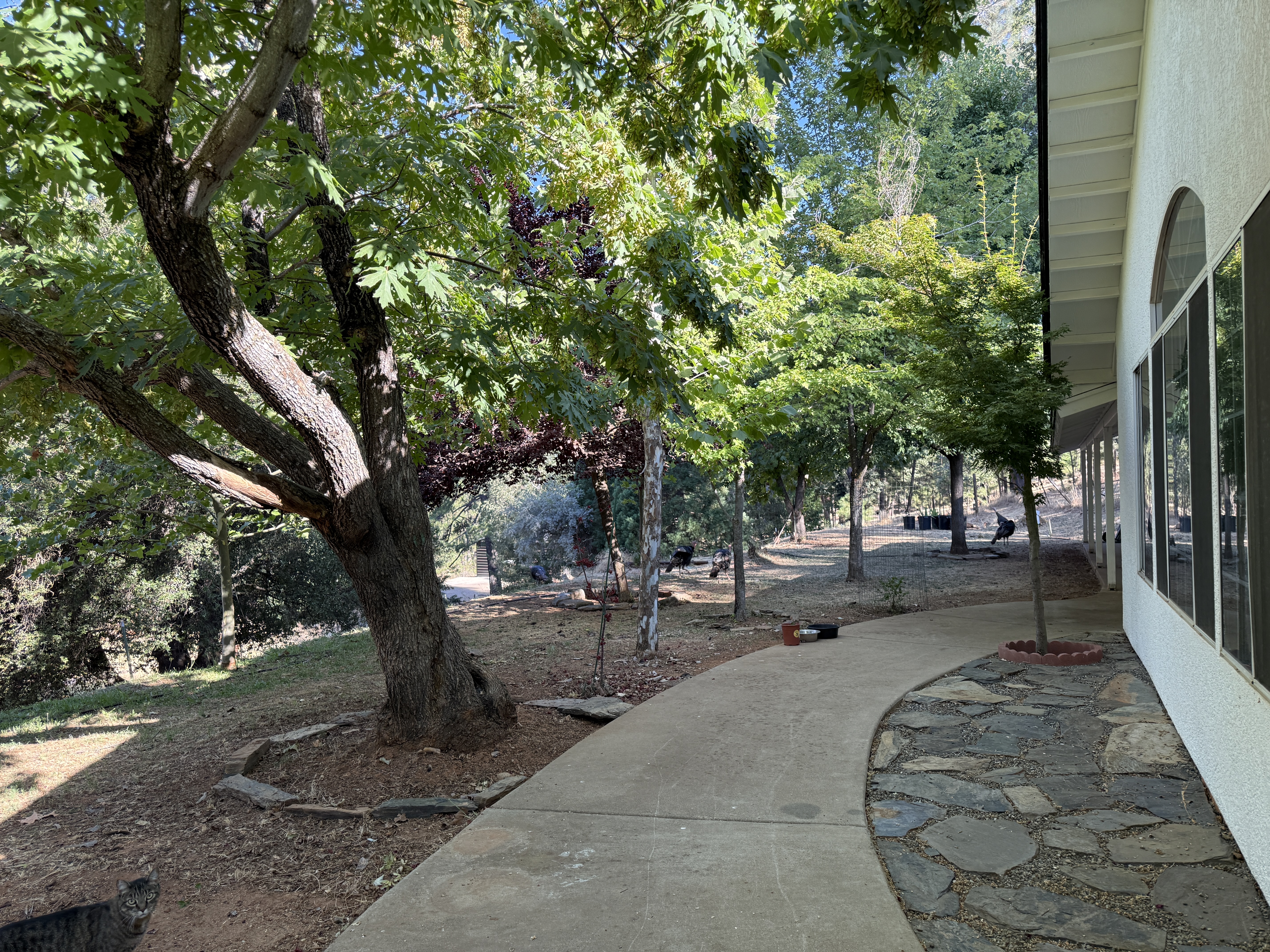 Mariposa, California, 95338, United States, 2 Bedrooms Bedrooms, ,2 BathroomsBathrooms,Residential,For Sale,1983625