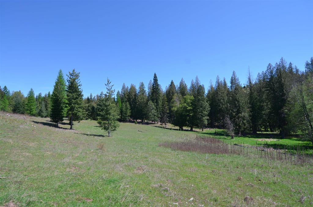 Sagle, Idaho, 83860, United States, ,Land,For Sale,1980438