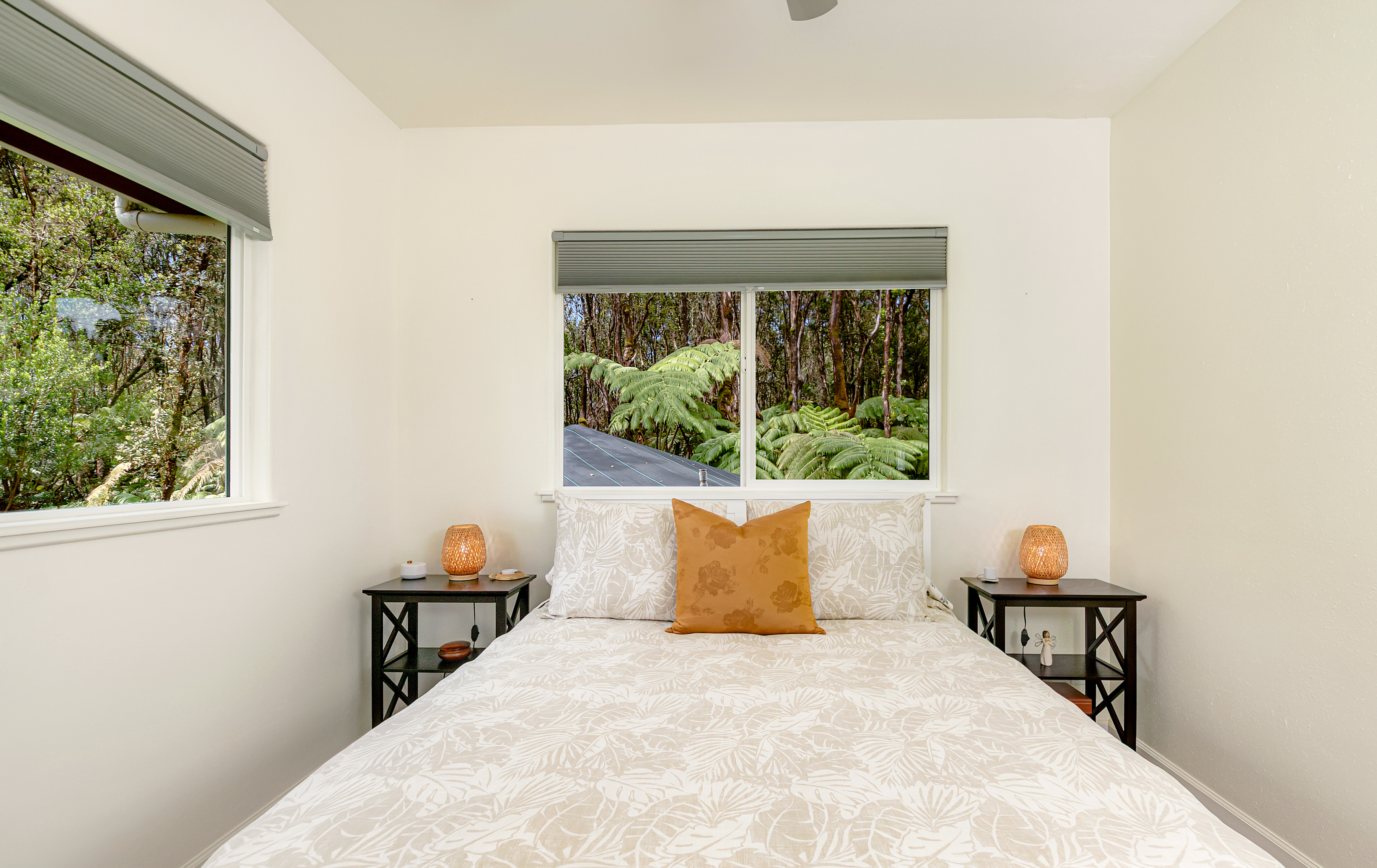  11-3925-A Liona St., Volcano, HI 96785 - 物件實景