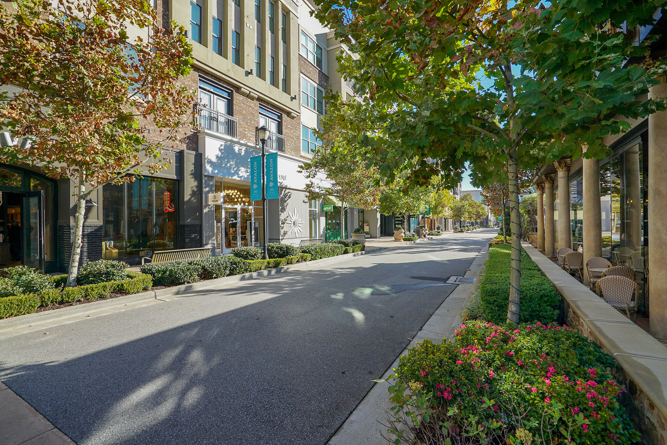  Incredibly Rare New Construction on a Quiet Established Street - 物件實景