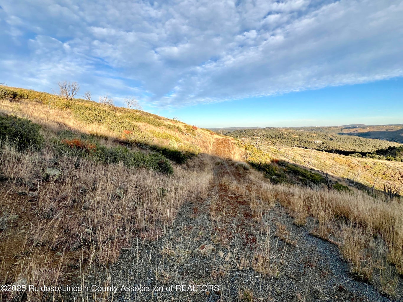 Nogal, New Mexico, 88341, United States, ,Land,For Sale,1988208
