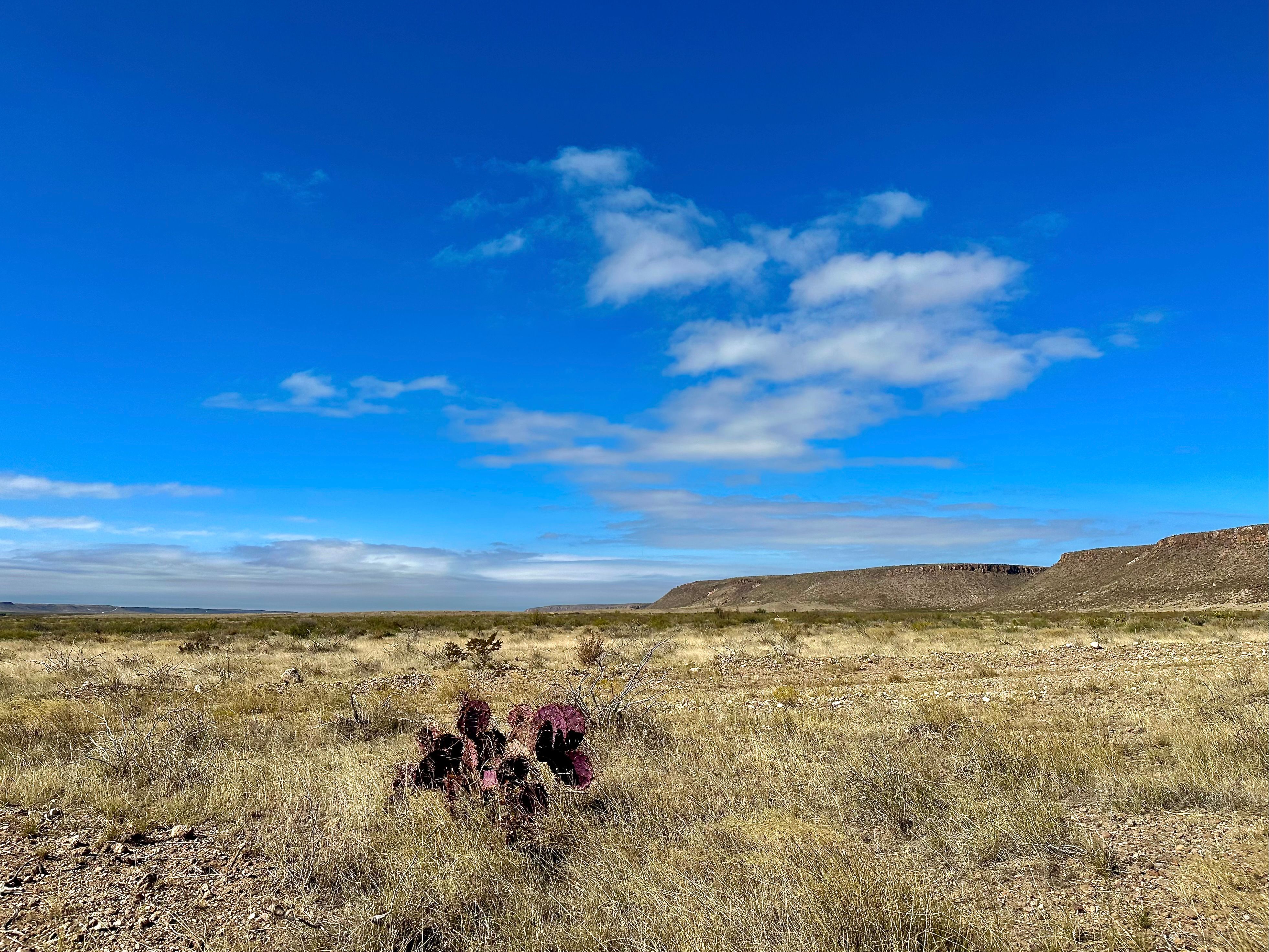  The Alamito Ranch in Presidio County - 物件實景