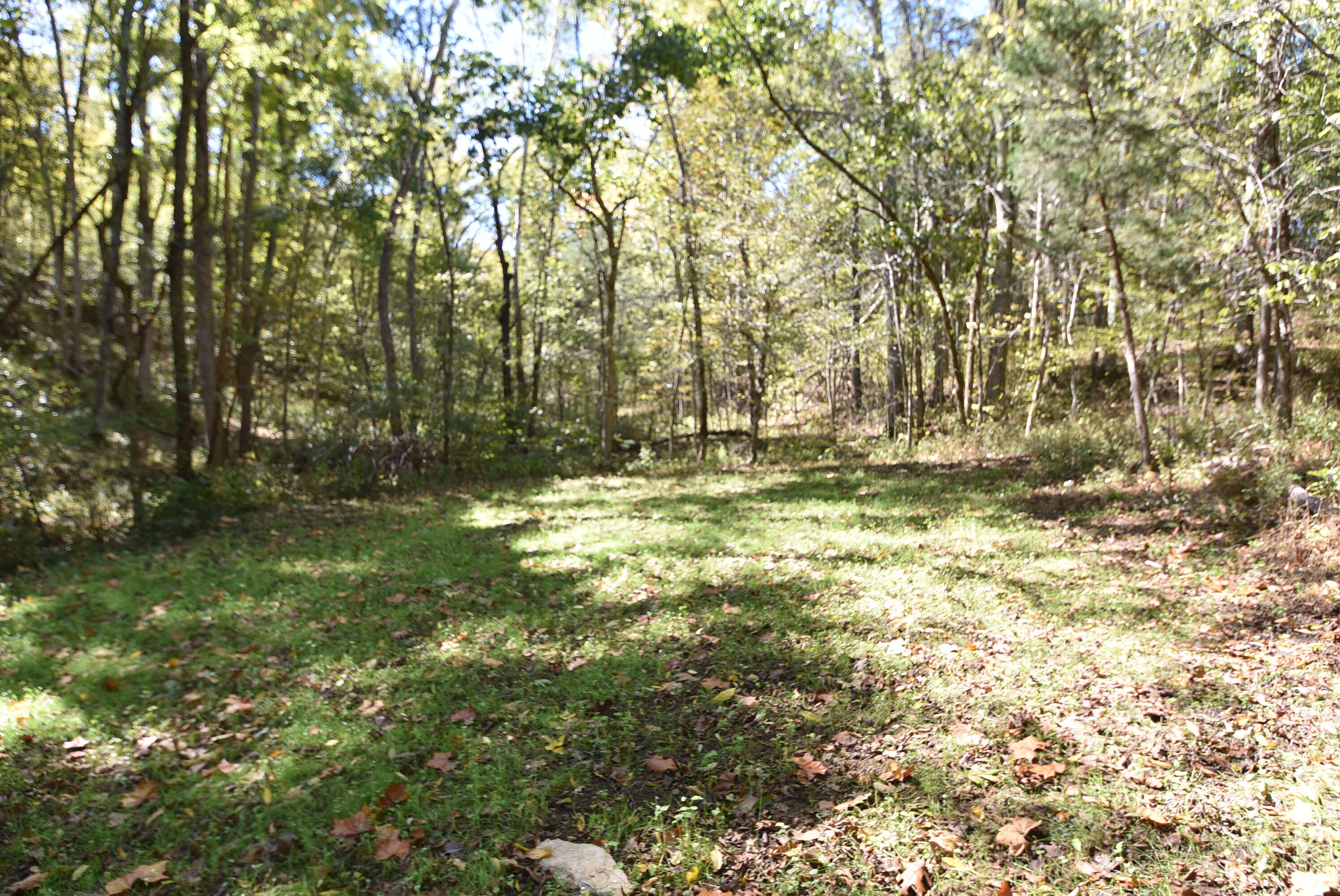 Willisburg, Kentucky, 40078, United States, 4 Bedrooms Bedrooms, ,1 BathroomBathrooms,Residential,For Sale,1962831