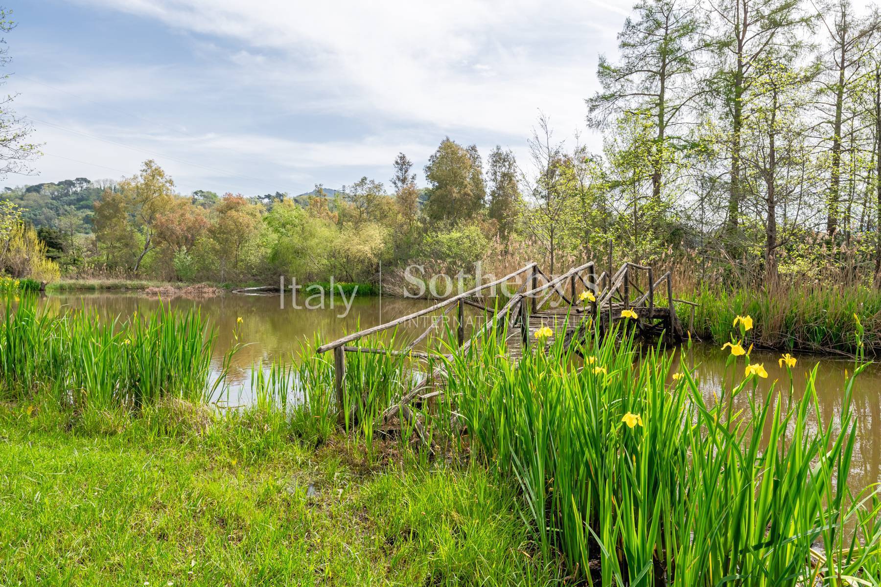  Elegant Tuscan Villa with pool, pond and dépandance - 物件實景
