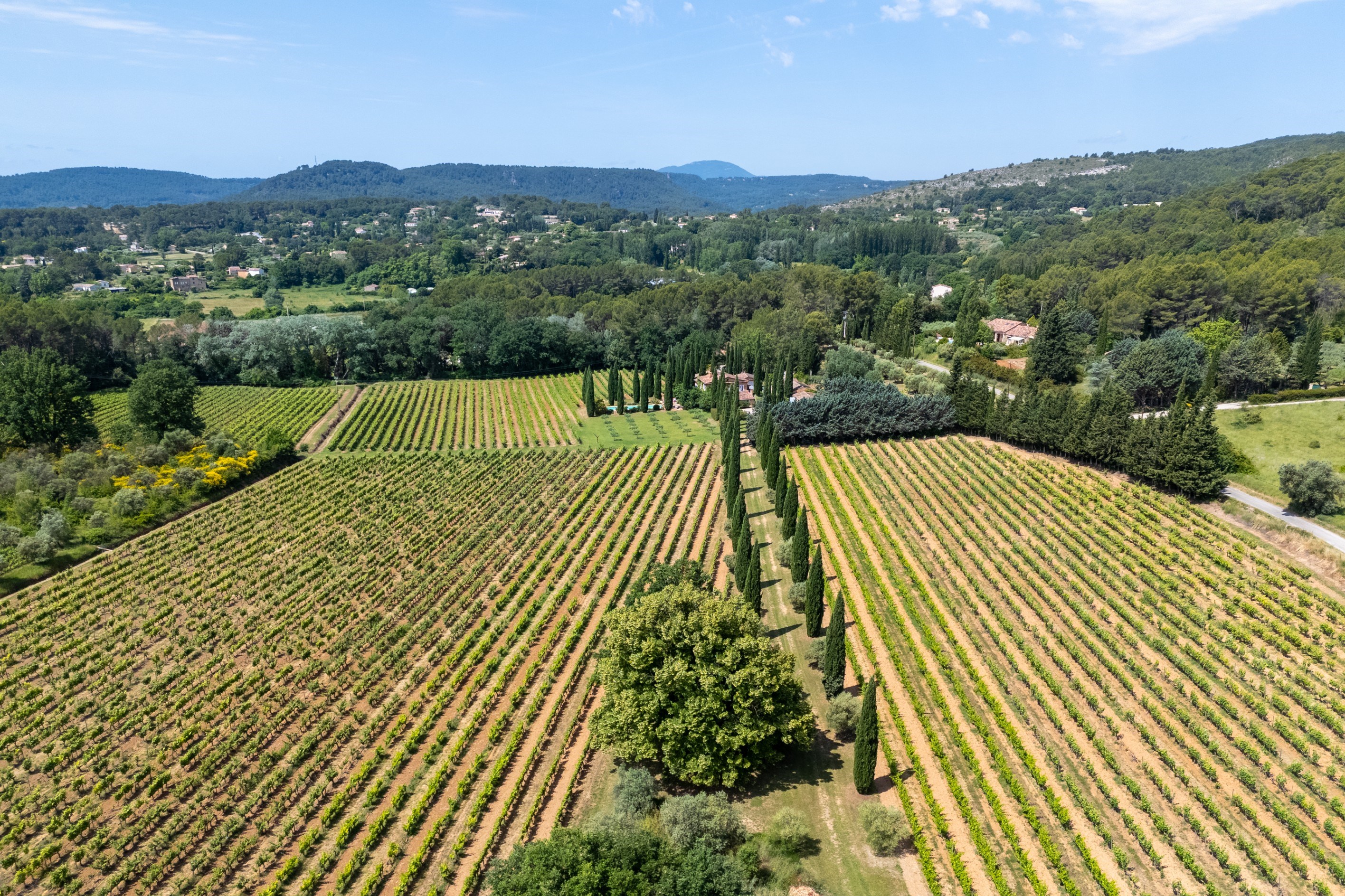  Charming Wine Estate in the Heart of Provence - 物件實景