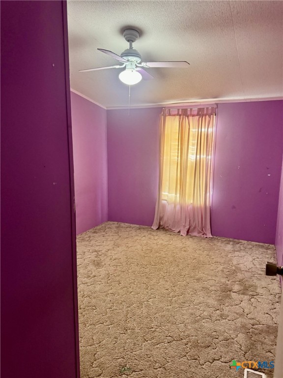 6070 State Highway 95, Temple, Texas, 76502, United States, 3 Bedrooms Bedrooms, ,2 BathroomsBathrooms,Residential,For Sale,6070 State Highway 95,1651212
