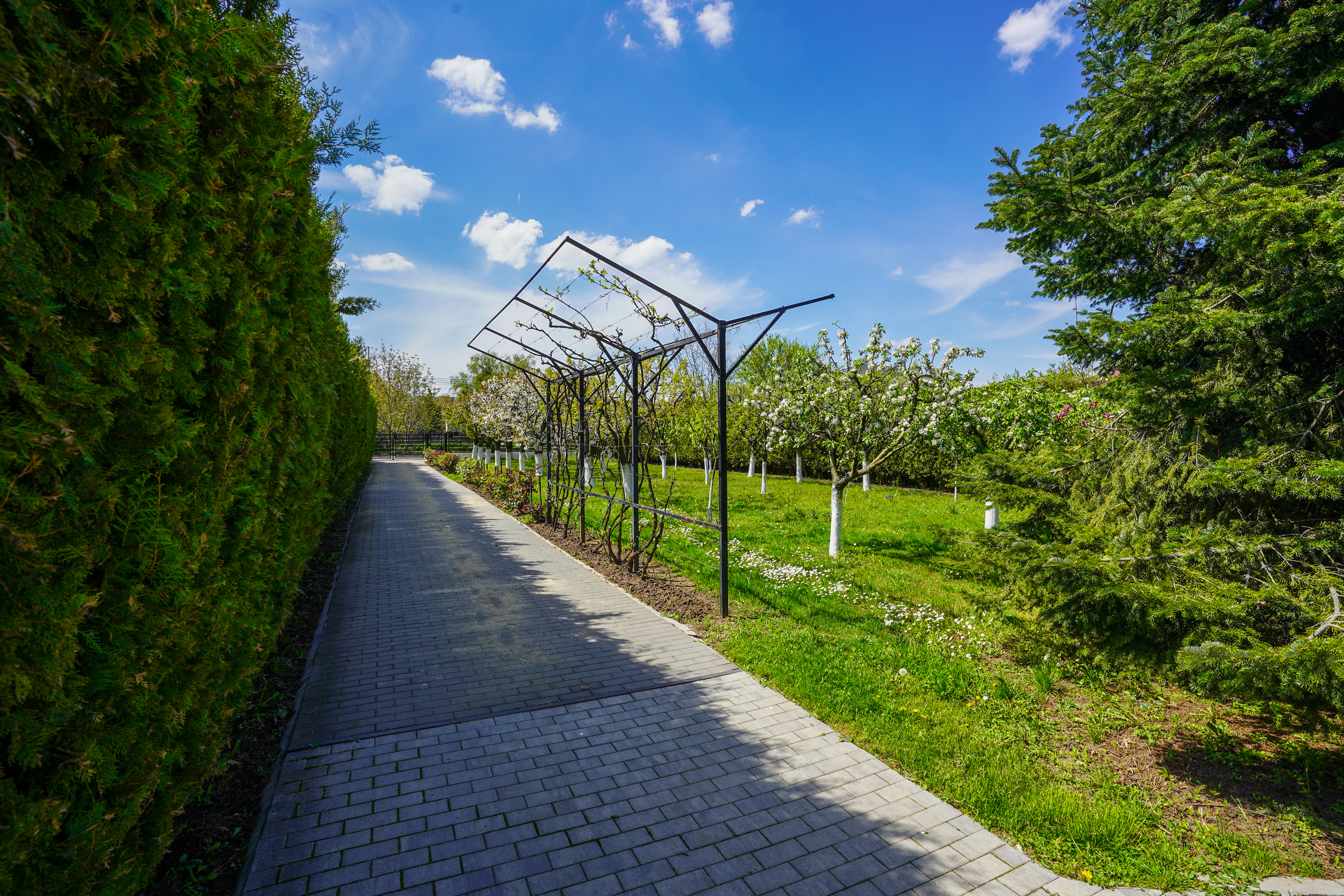  Luxury Villa in a Prime Educational Hub, Pipera - 物件實景