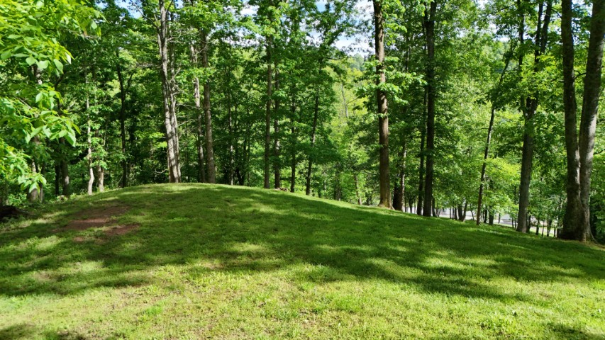Horner, West Virginia, 26732, United States, 4 Bedrooms Bedrooms, ,4 BathroomsBathrooms,Residential,For Sale,1955004