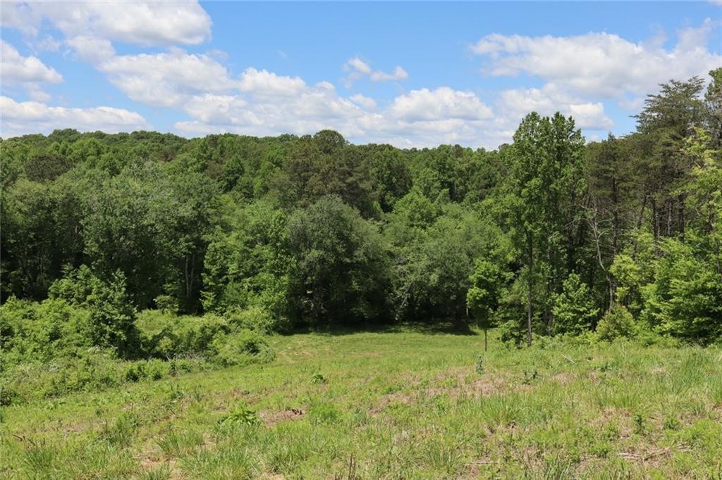 Ellijay, Georgia, 30540, United States, ,Residential,For Sale,1881390