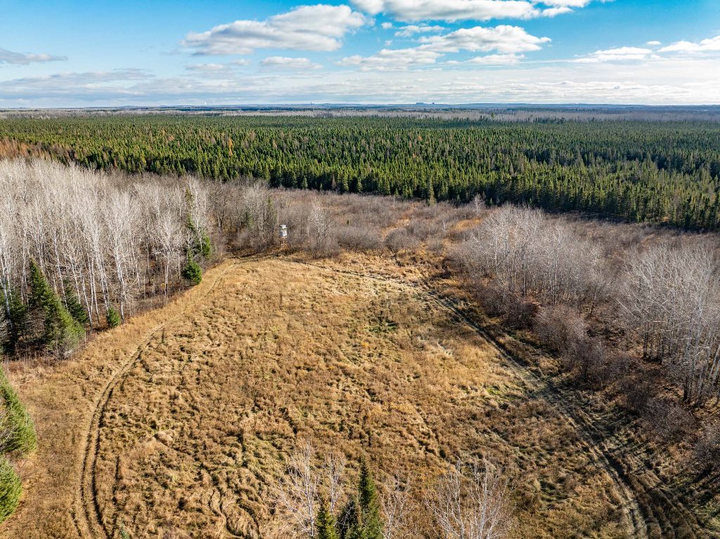 Grand Rapids, Minnesota, 55744, United States, ,Land,For Sale,1983791