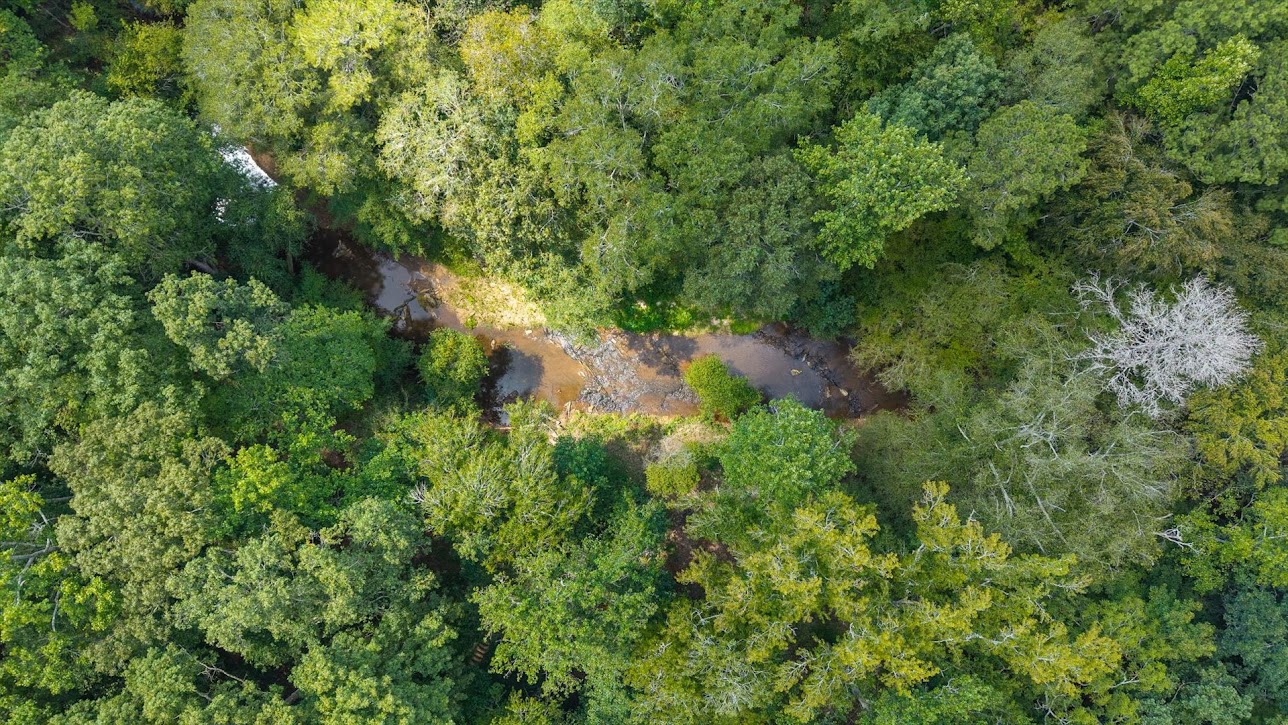 Carrollton, Georgia, 30116, United States, 4 Bedrooms Bedrooms, ,3 BathroomsBathrooms,Residential,For Sale,2005638