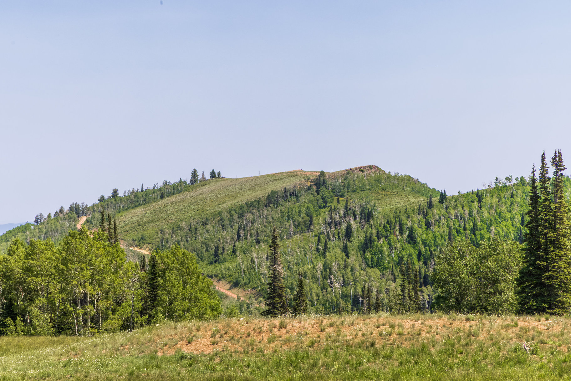  Incredible 28 Acre Estate Lot in the Colony at White Pine Canyon - 物件實景