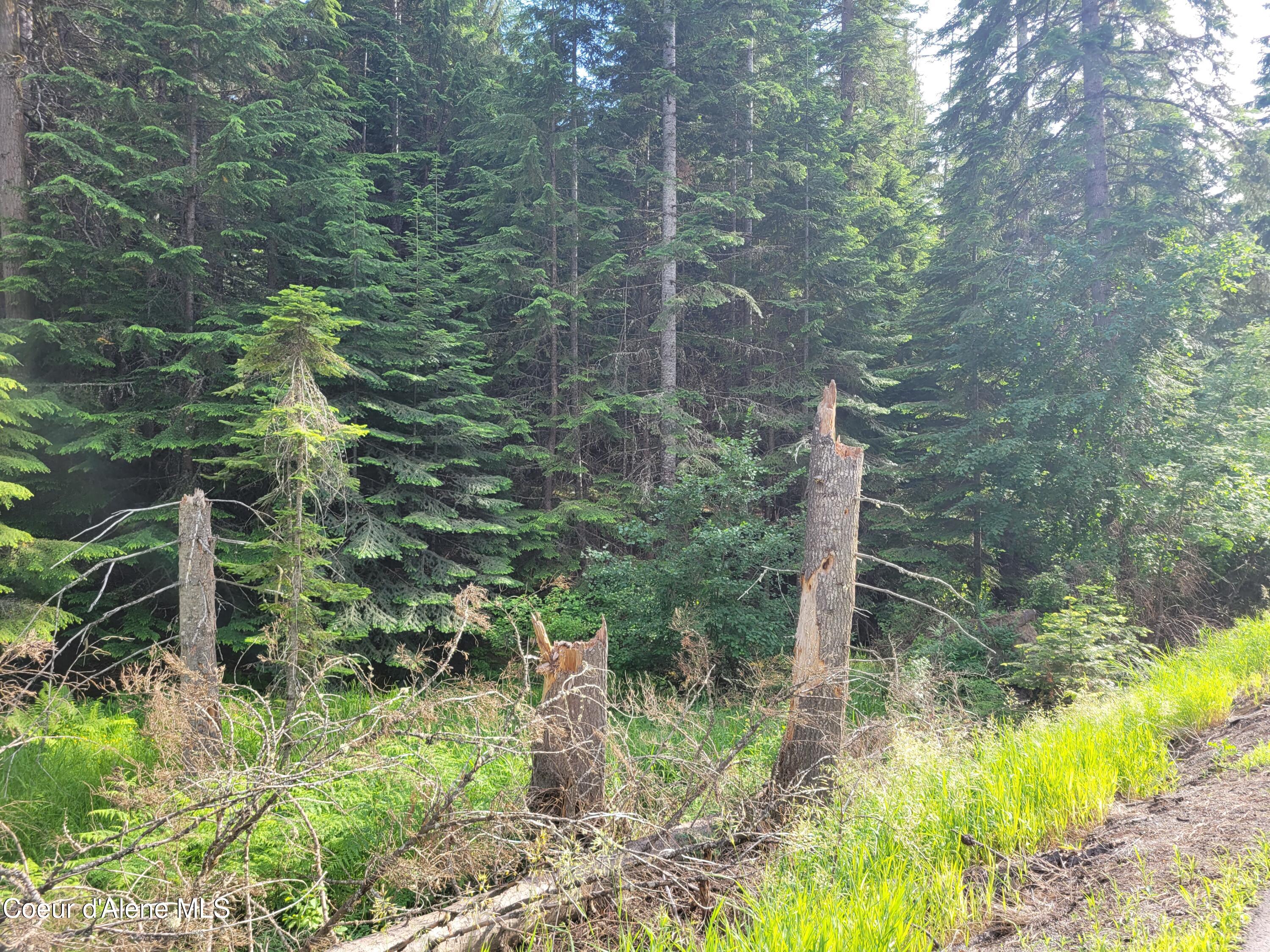 Coeur d'Alene, Idaho, 83814, United States, ,Residential,For Sale,1937421