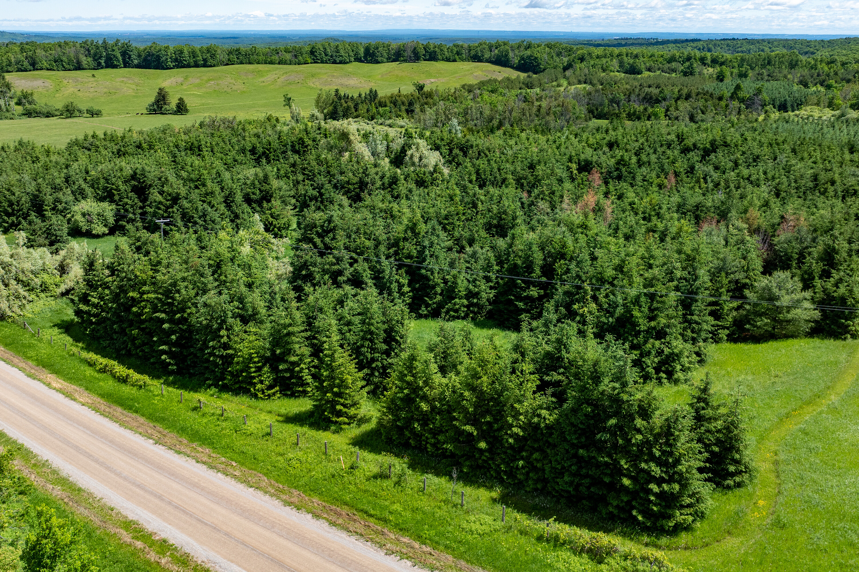  50 acre parcel in Mulmur ON - 物件實景