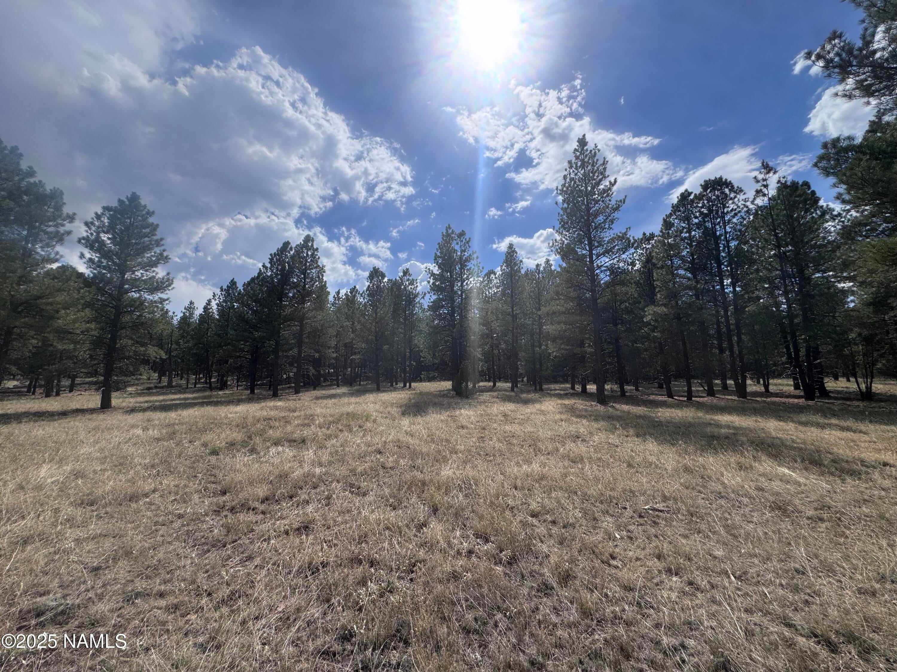 Flagstaff, Arizona, 86001, United States, ,Land,For Sale,1948051