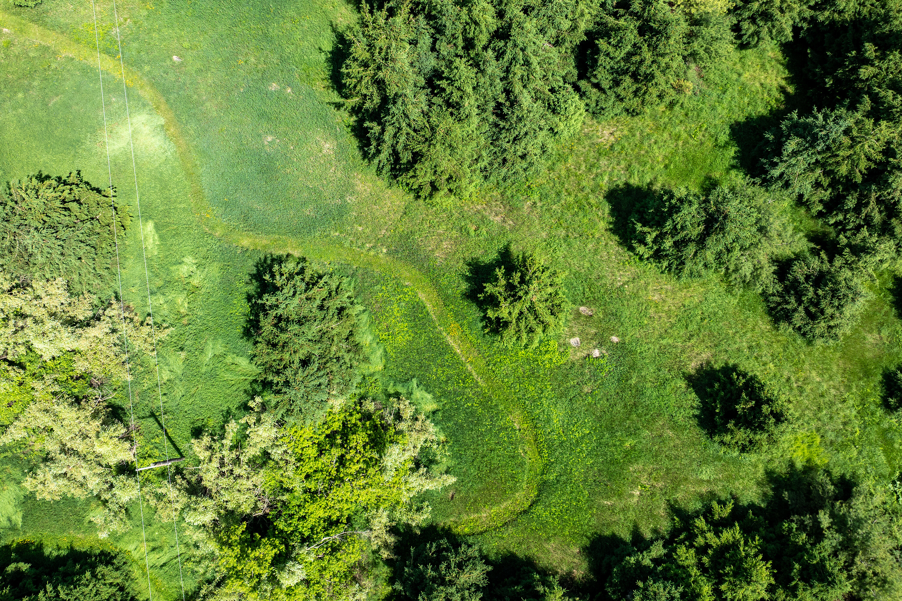  50 acre parcel in Mulmur ON - 物件實景