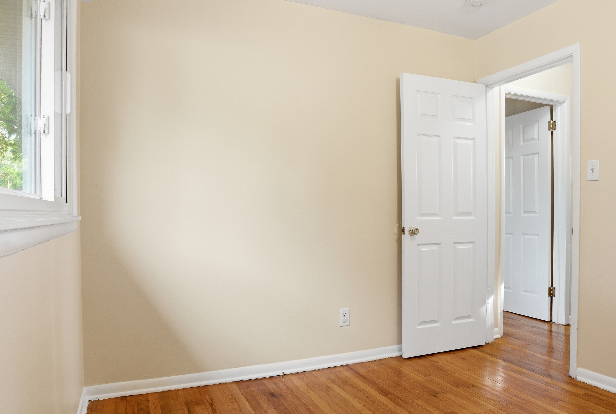  1206 Cleona Drive, Chesapeake, VA 23324 - 物件實景