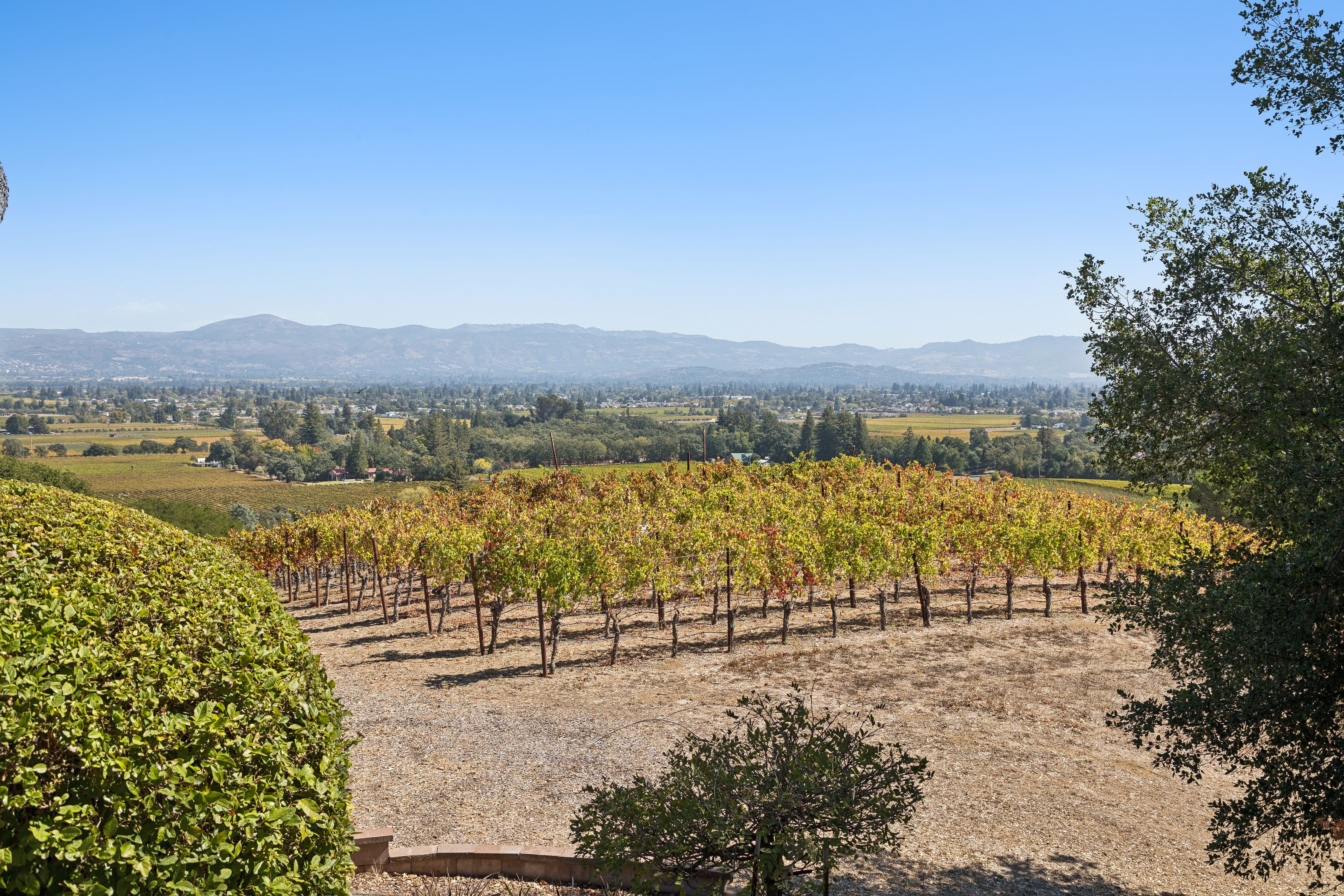  Exceptional Napa Valley Legacy Property - 物件實景