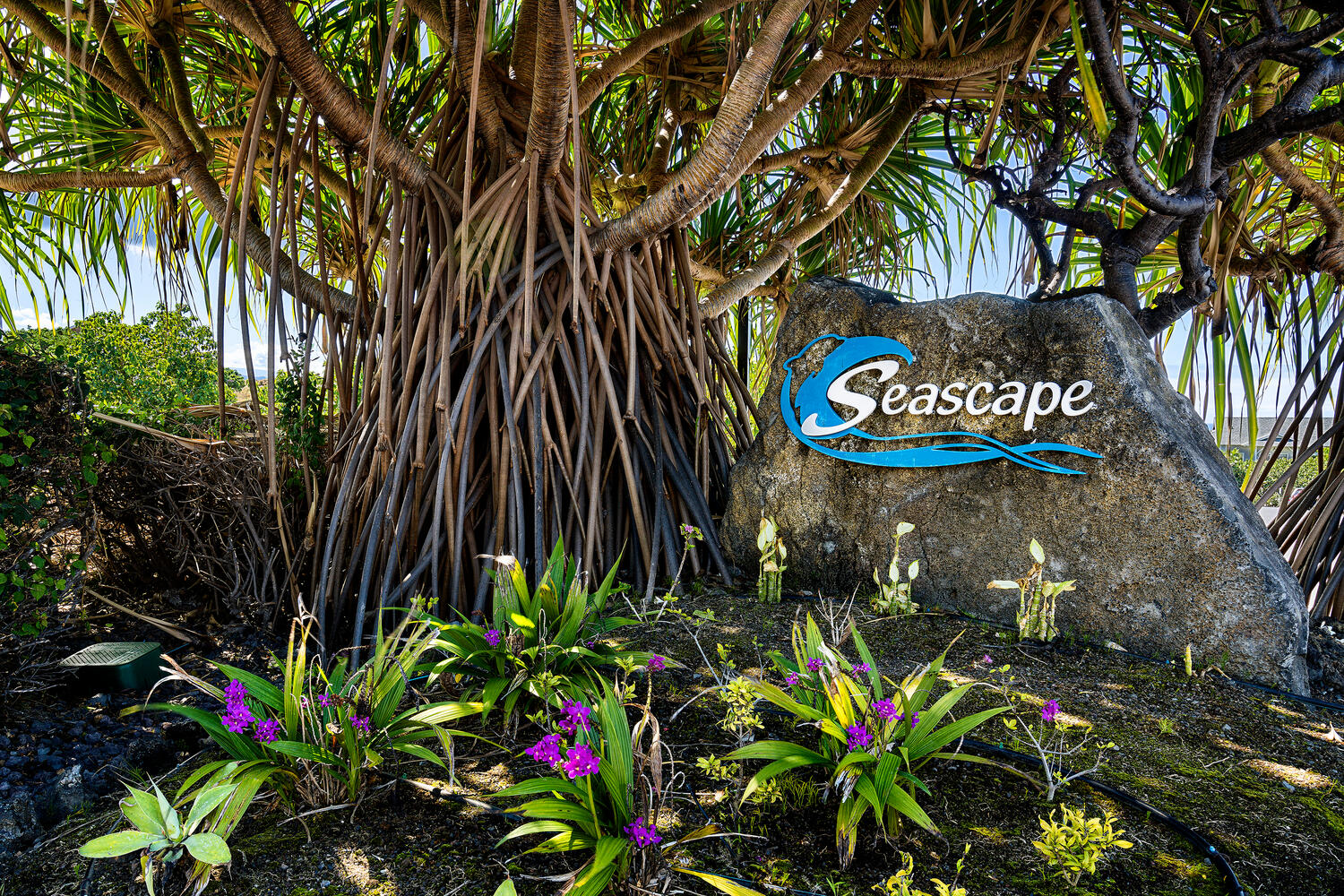 Kailua-Kona, Hawaii, 96740, United States, 2 Bedrooms Bedrooms, ,2 BathroomsBathrooms,Residential,For Sale,1896960