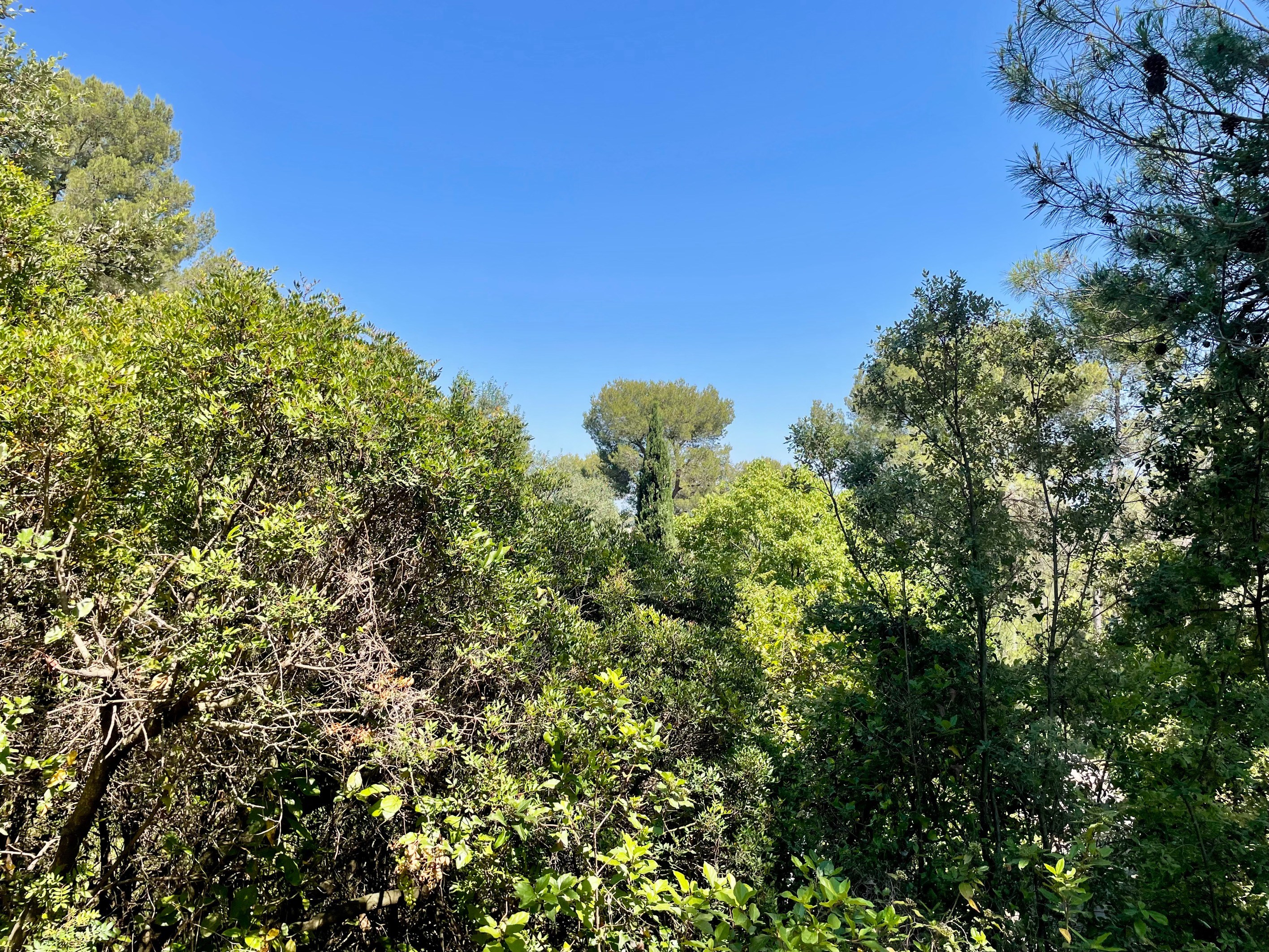  Belle vue – Permis accepté – Projet possible - 物件實景