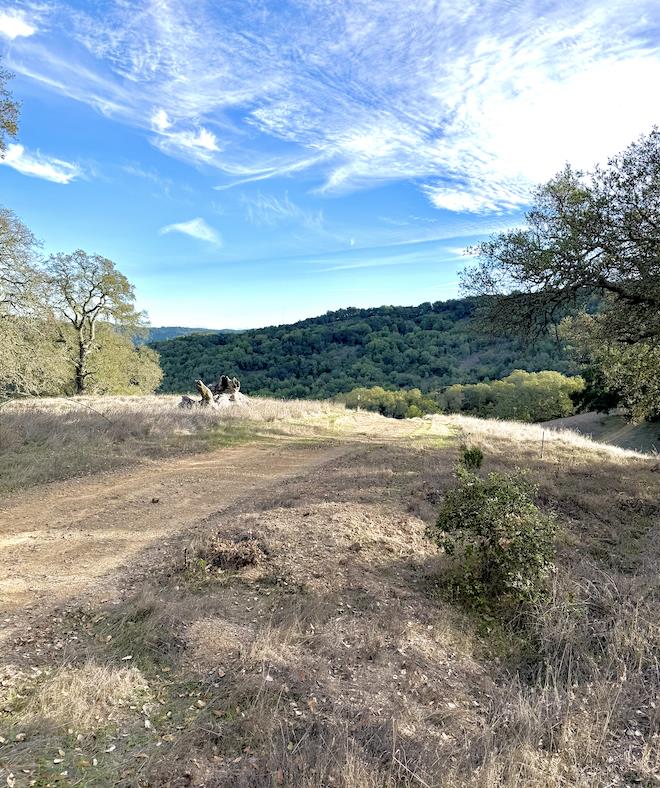 San Jose, California, 95120, United States, ,Land,For Sale,1999646