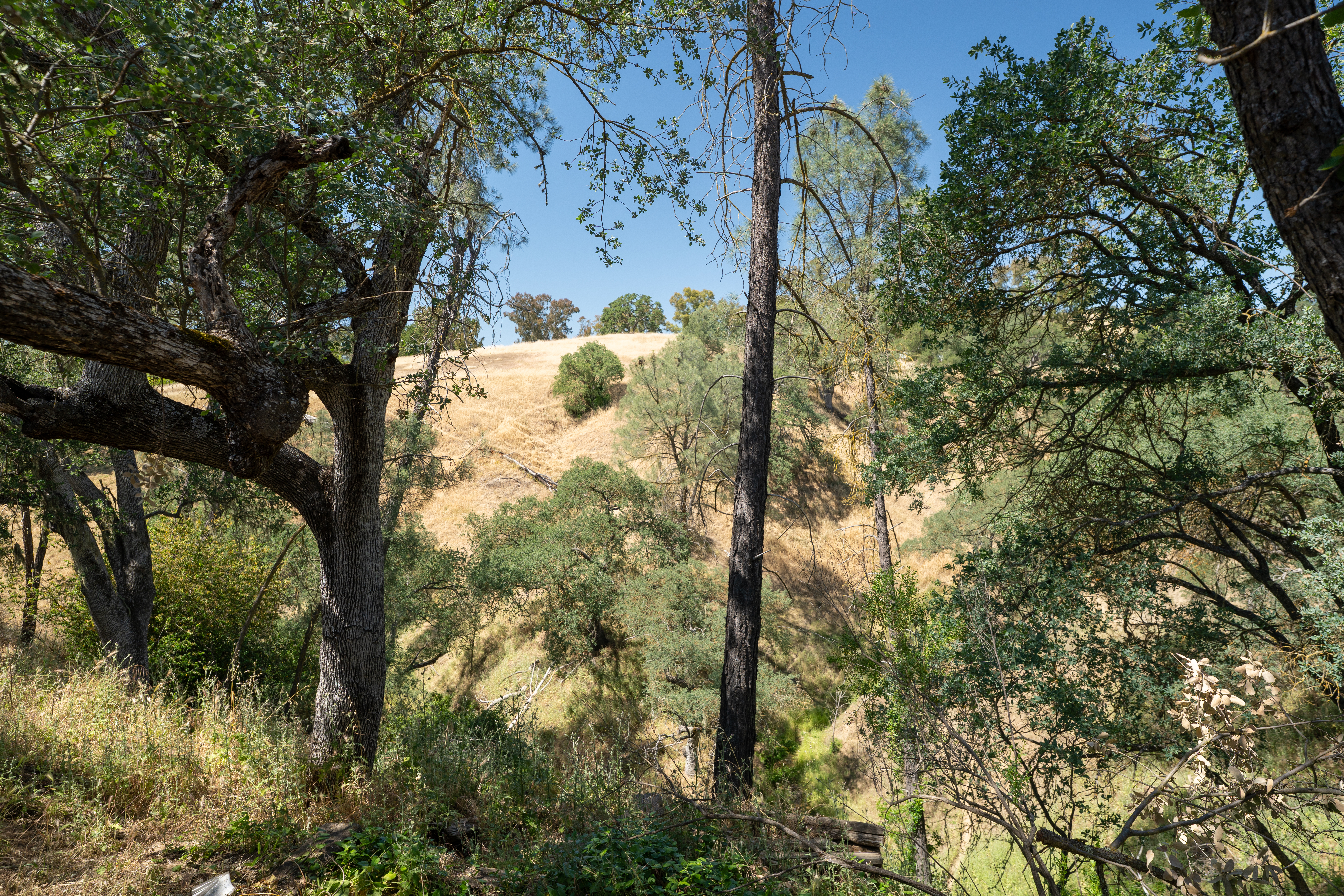  2861 Old Wrangler Lane, Paso Robles, CA 93446 - 物件實景