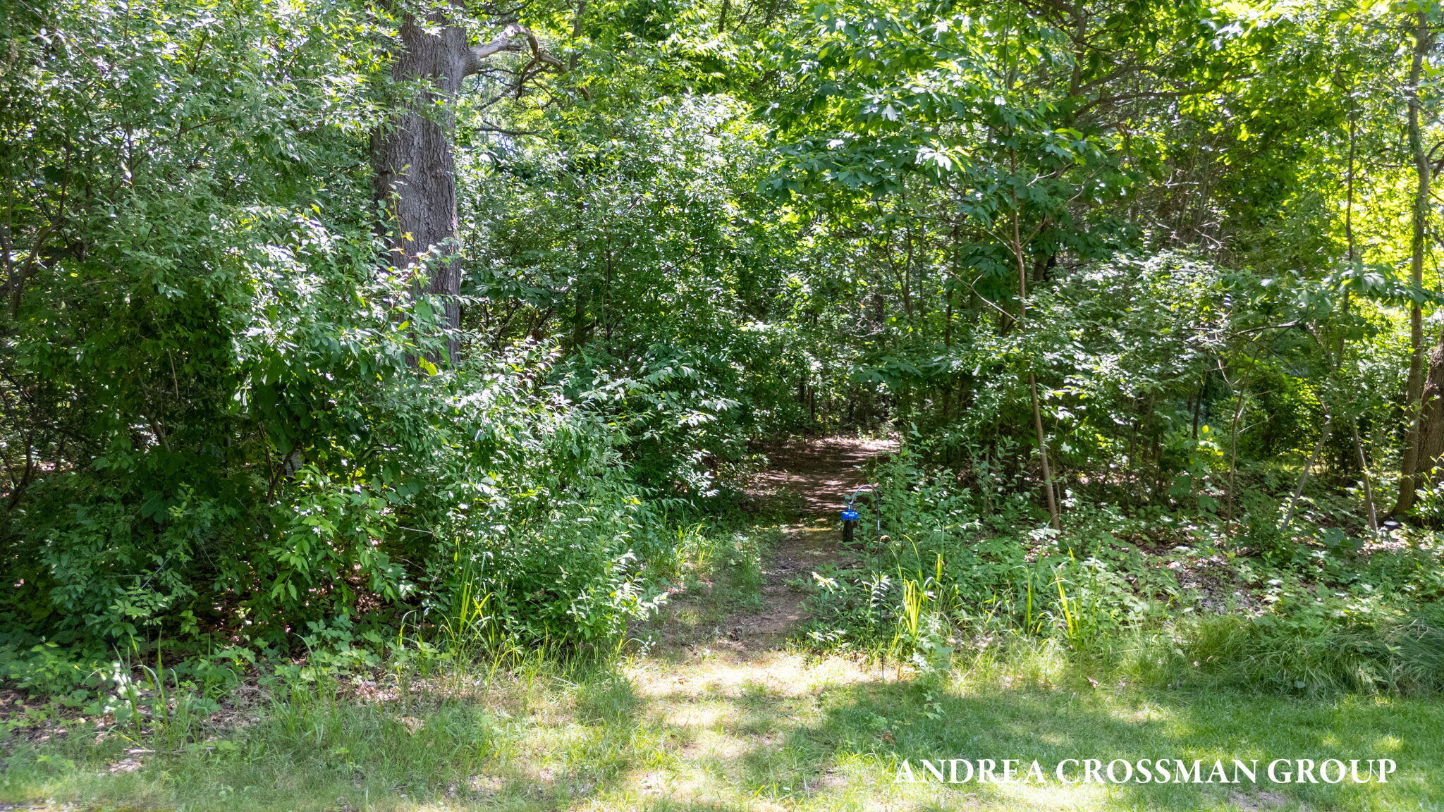 Saugatuck, Michigan, 49453, United States, 2 Bedrooms Bedrooms, ,2 BathroomsBathrooms,Residential,For Sale,1890040