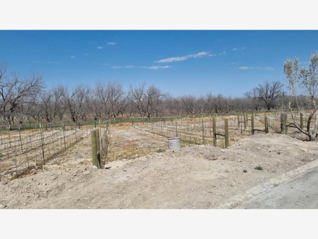 PARVADA, Parras, Coahuila de Zaragoza, 27980, Mexico, 1 Bedroom Bedrooms, ,Residential,For Sale,PARVADA,1235414