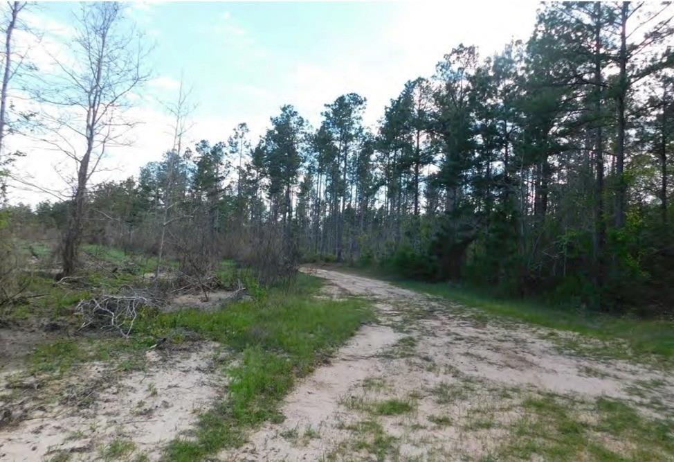 Huntington, Texas, 75949, United States, ,Land,For Sale,1785259