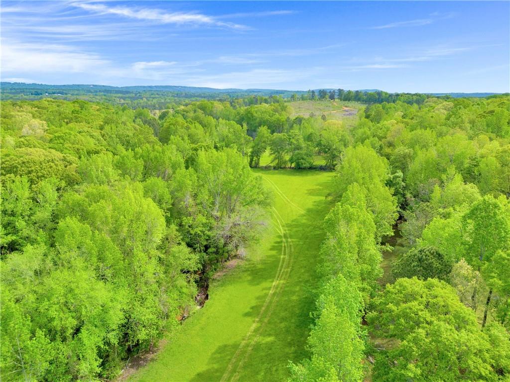 Shiloh, Georgia, 31826, United States, 3 Bedrooms Bedrooms, ,1 BathroomBathrooms,Land,For Sale,1974369