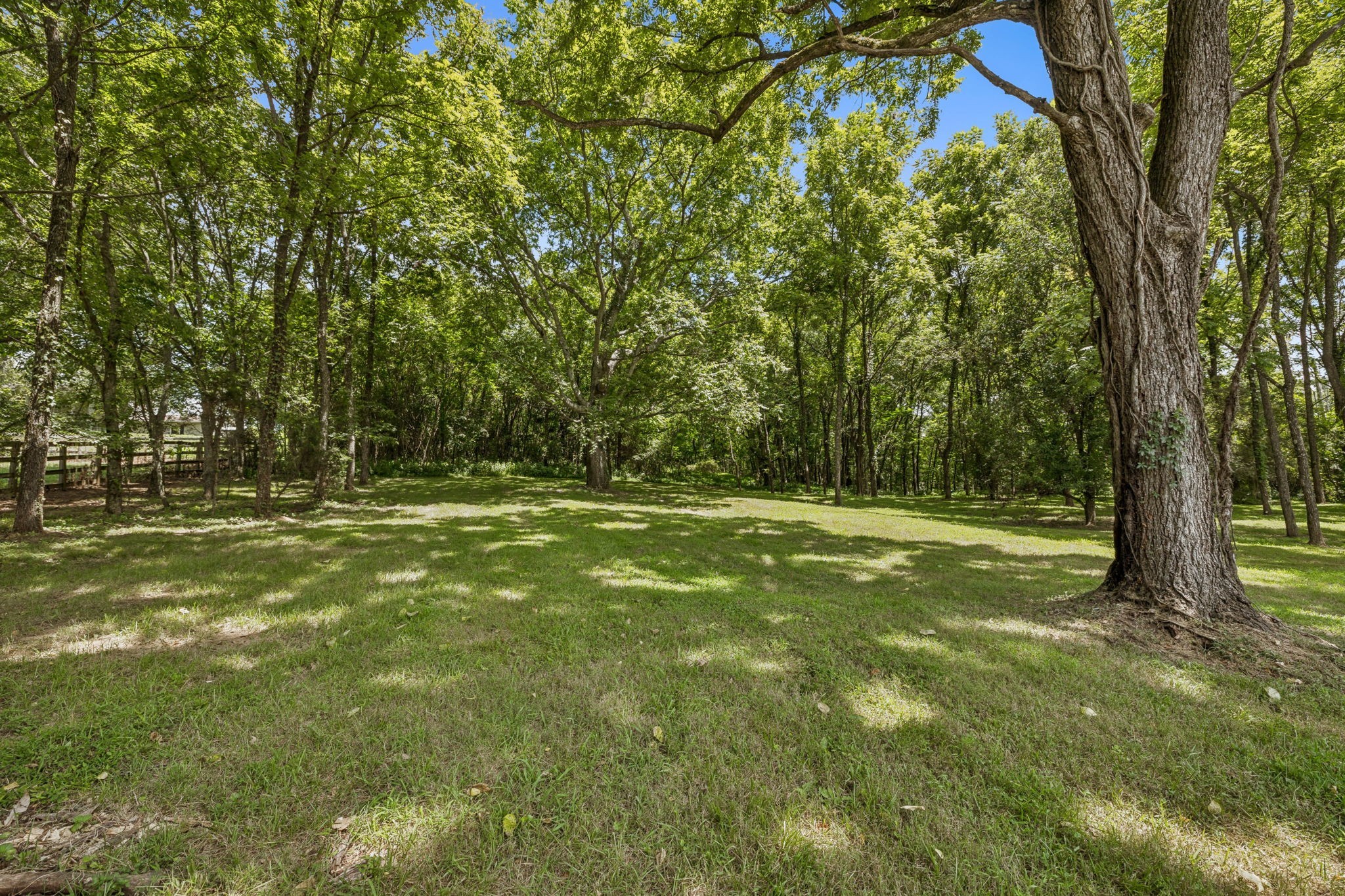 670 Northridge Rd, Columbia, TN, 38401 - 物件實景