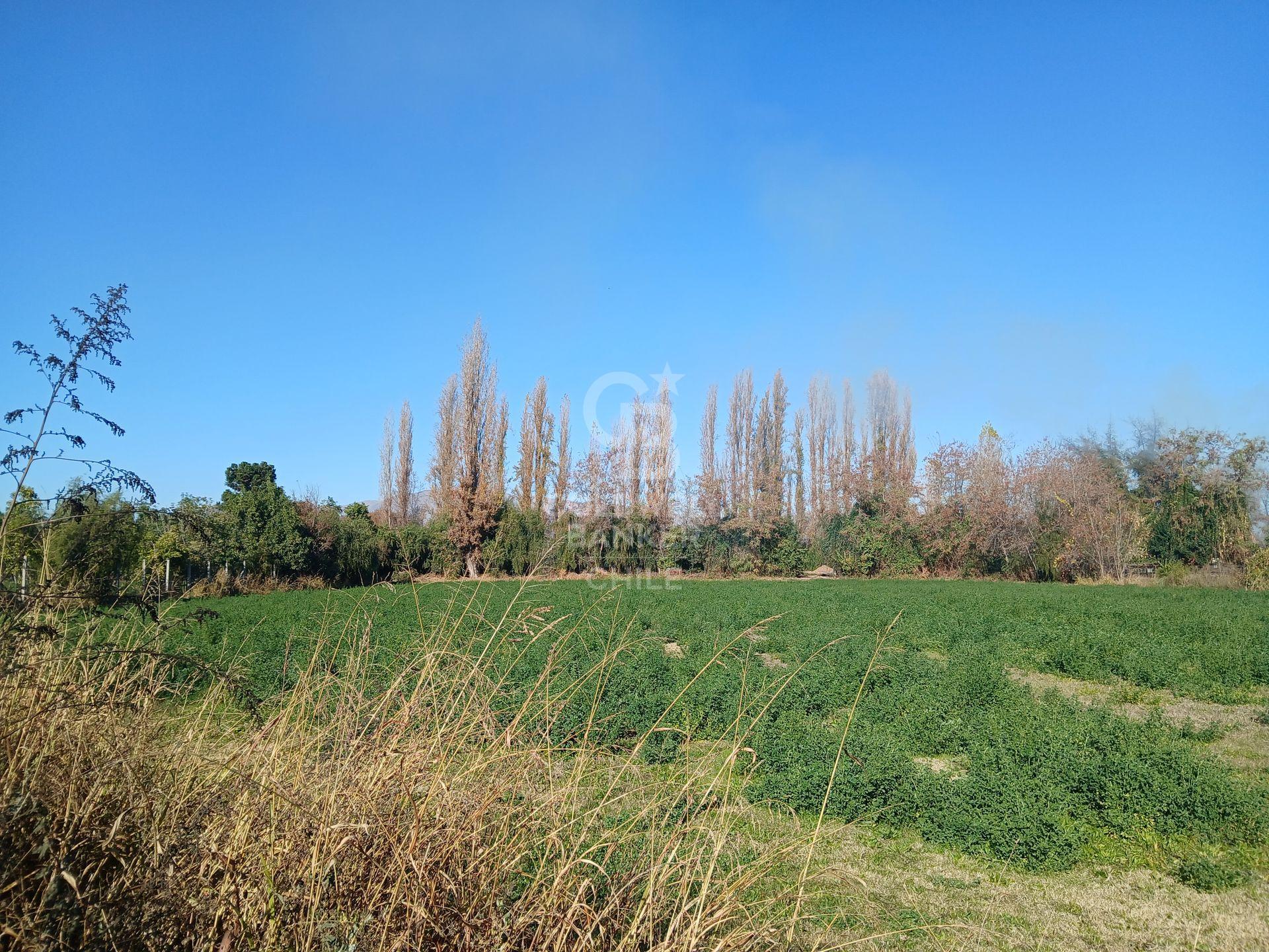 San Esteban, Chile, ,Land,For Sale,1926022