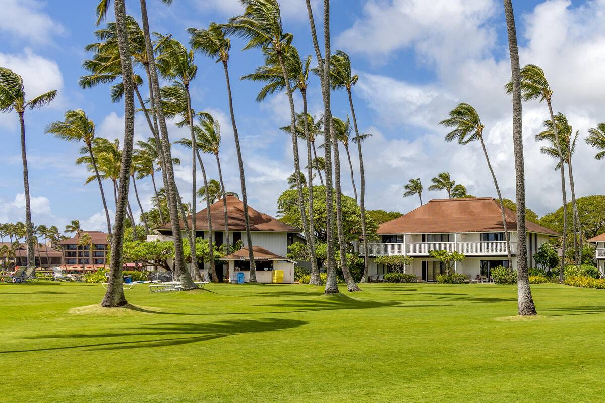 Koloa, Hawaii, 96756, United States, 1 Bedroom Bedrooms, ,1 BathroomBathrooms,Residential,For Sale,1908266