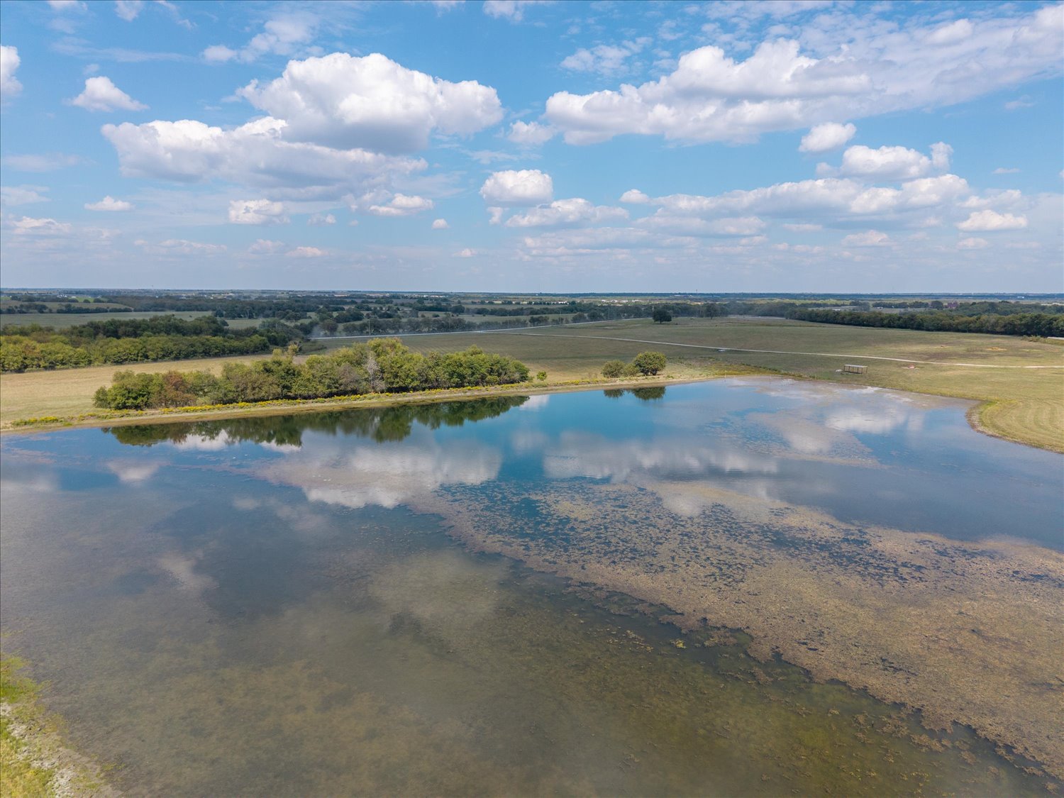Celeste, Texas, 75423, United States, ,Land,For Sale,1983780