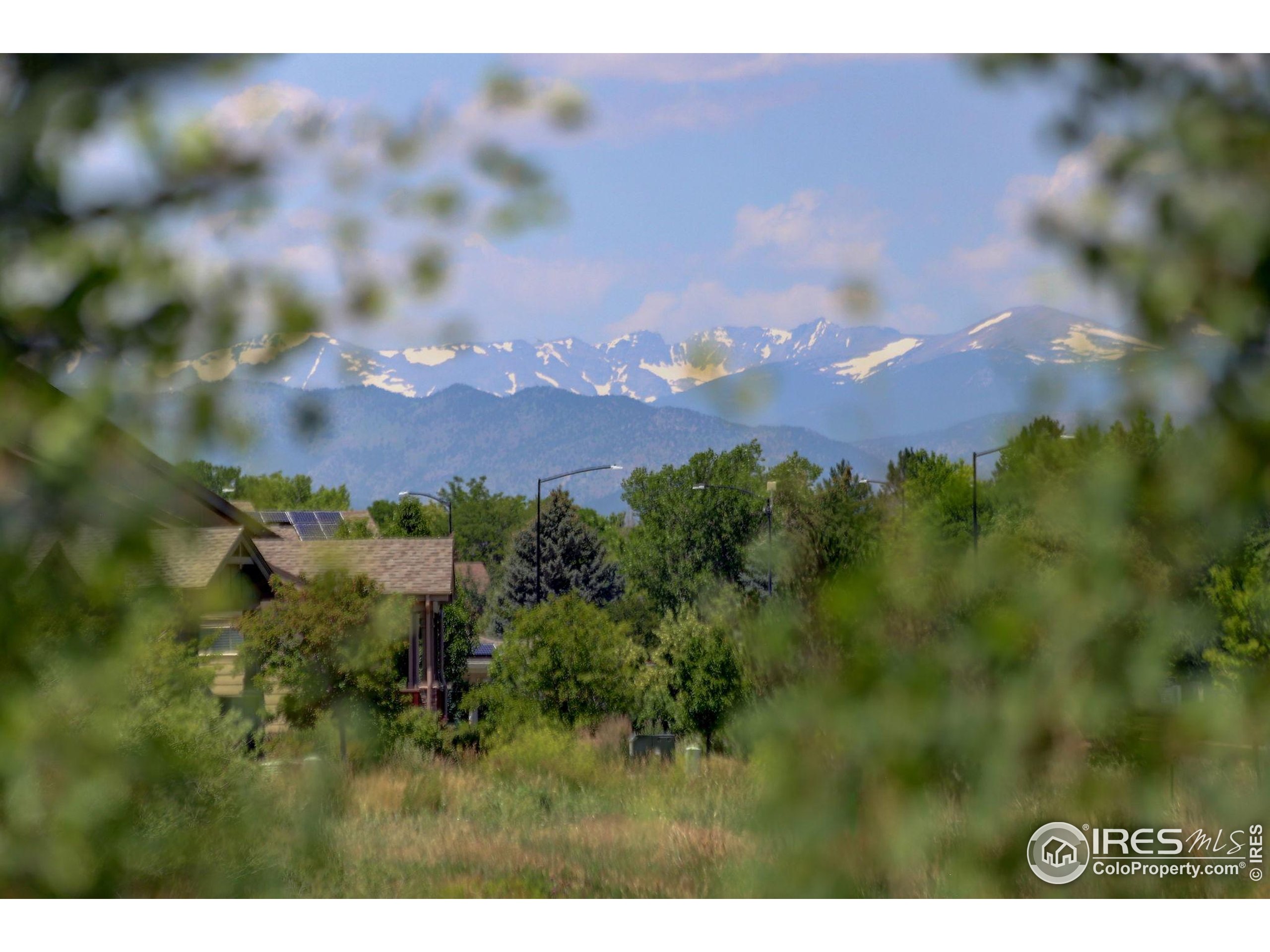 Erie, Colorado, 80516, United States, 3 Bedrooms Bedrooms, ,1 BathroomBathrooms,Residential,For Sale,1847115