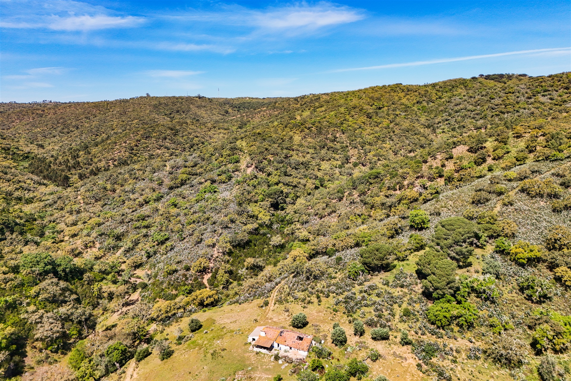  Real estate land for Sale - 物件實景