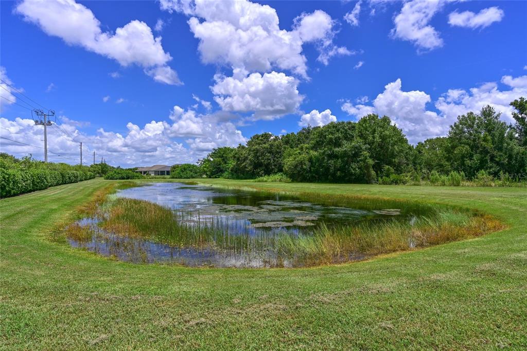 Bradenton, Florida, 34212, United States, 2 Bedrooms Bedrooms, ,2 BathroomsBathrooms,Residential,For Sale,1948137