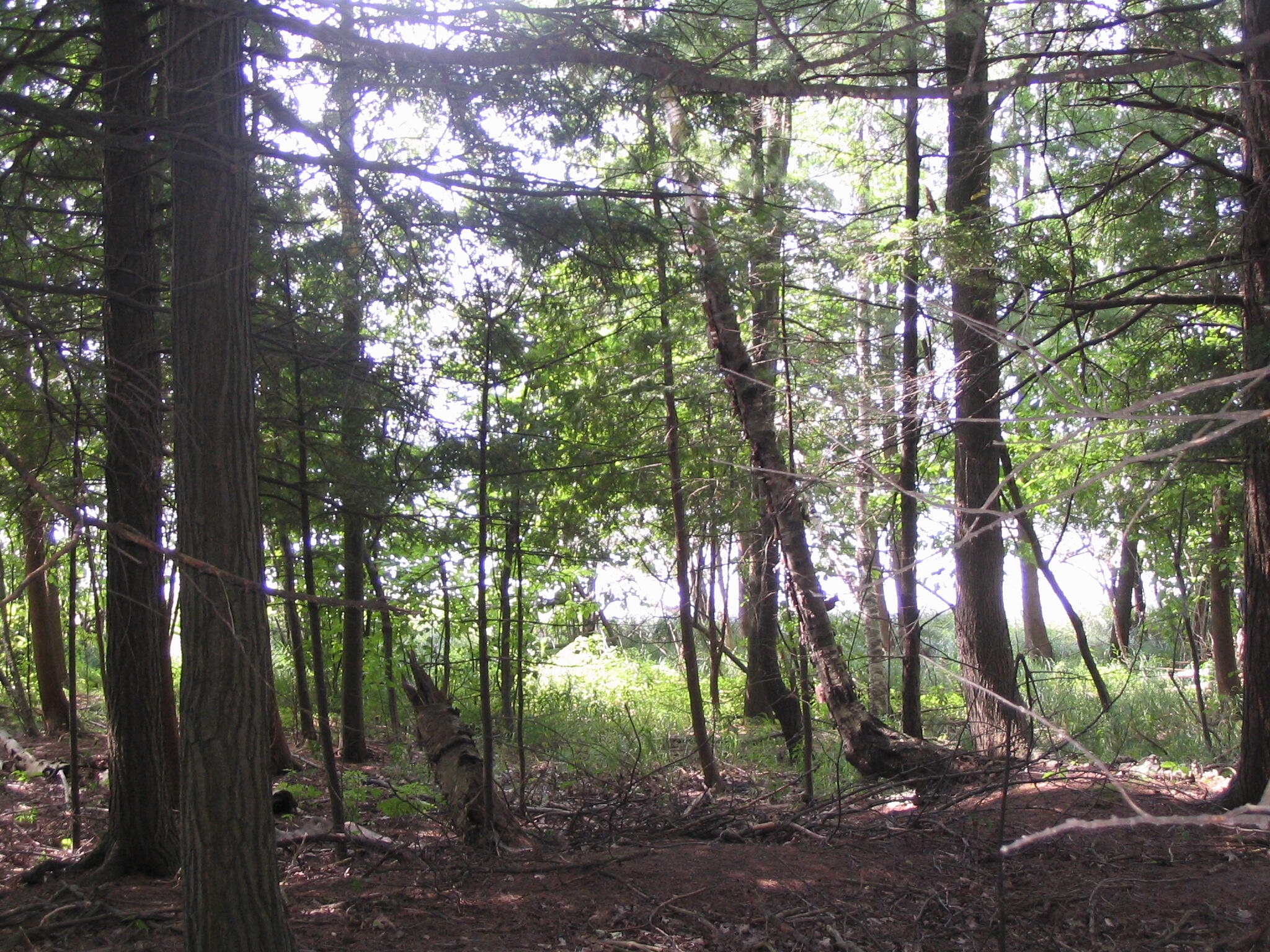 Grayling, Michigan, 49738, United States, ,Residential,For Sale,1845615