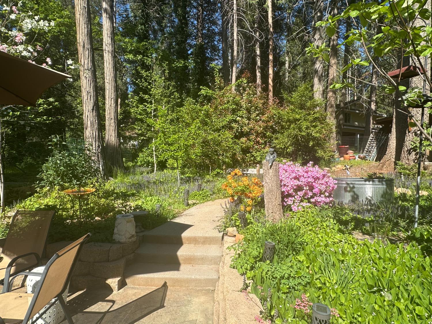 Nevada City, California, 95959, United States, 3 Bedrooms Bedrooms, ,3 BathroomsBathrooms,Residential,For Sale,1945021