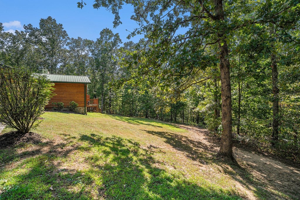 Blue Ridge, Georgia, 30513, United States, 6 Bedrooms Bedrooms, ,4 BathroomsBathrooms,Residential,For Sale,1858999