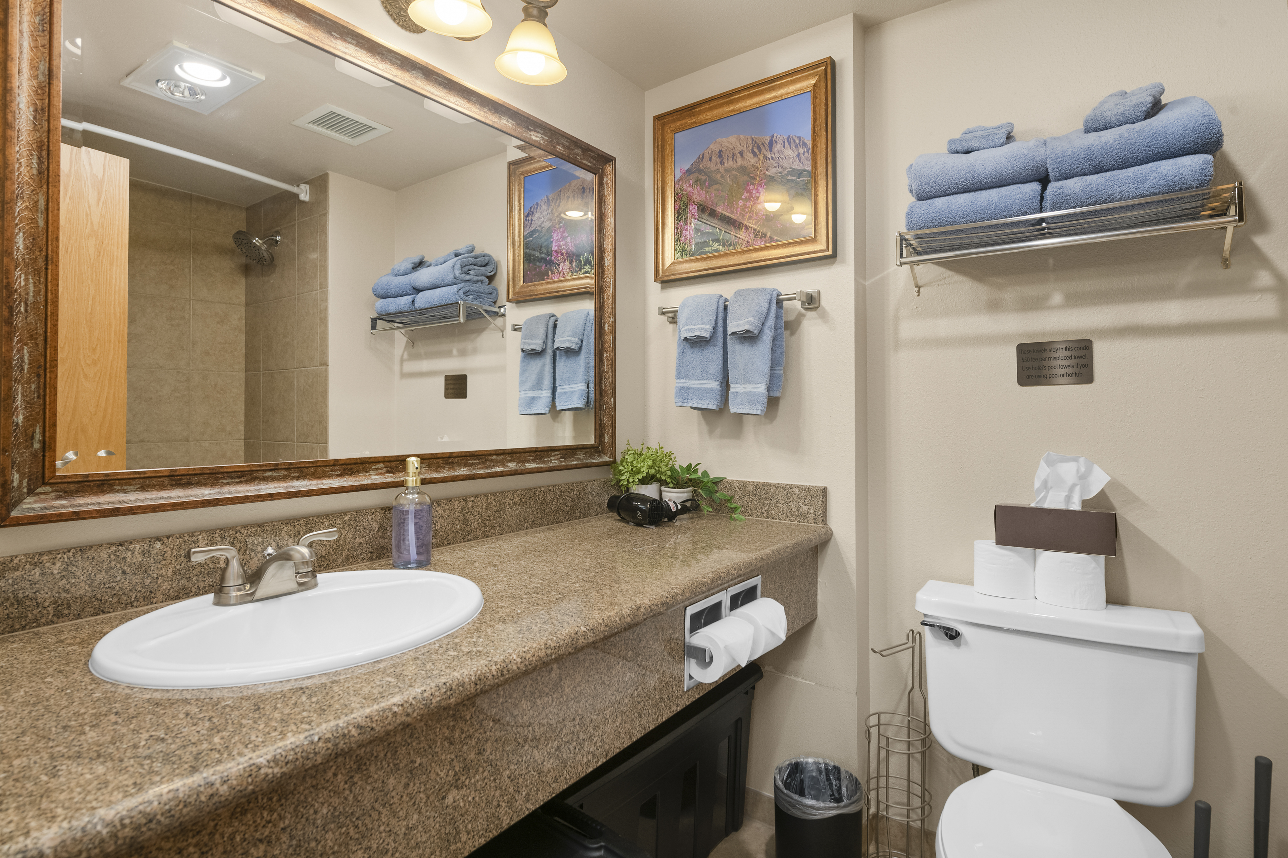  6 Emmons Road, Mt. Crested Butte, CO, 81225 - 物件實景