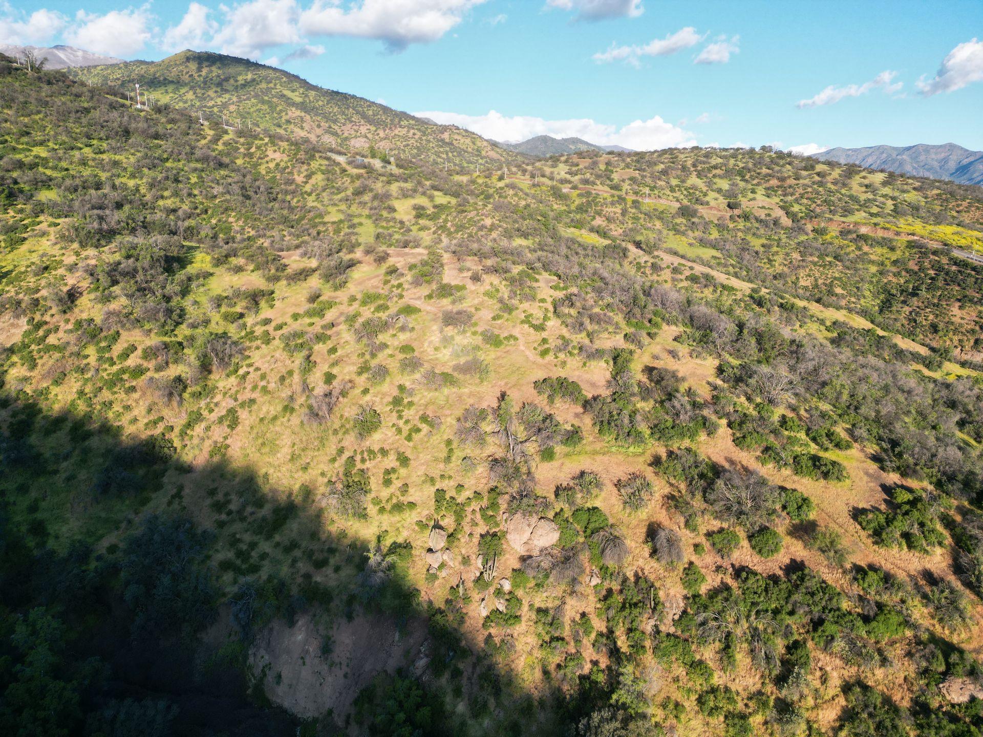 Lo Barnechea, Chile, ,Land,For Sale,1926302