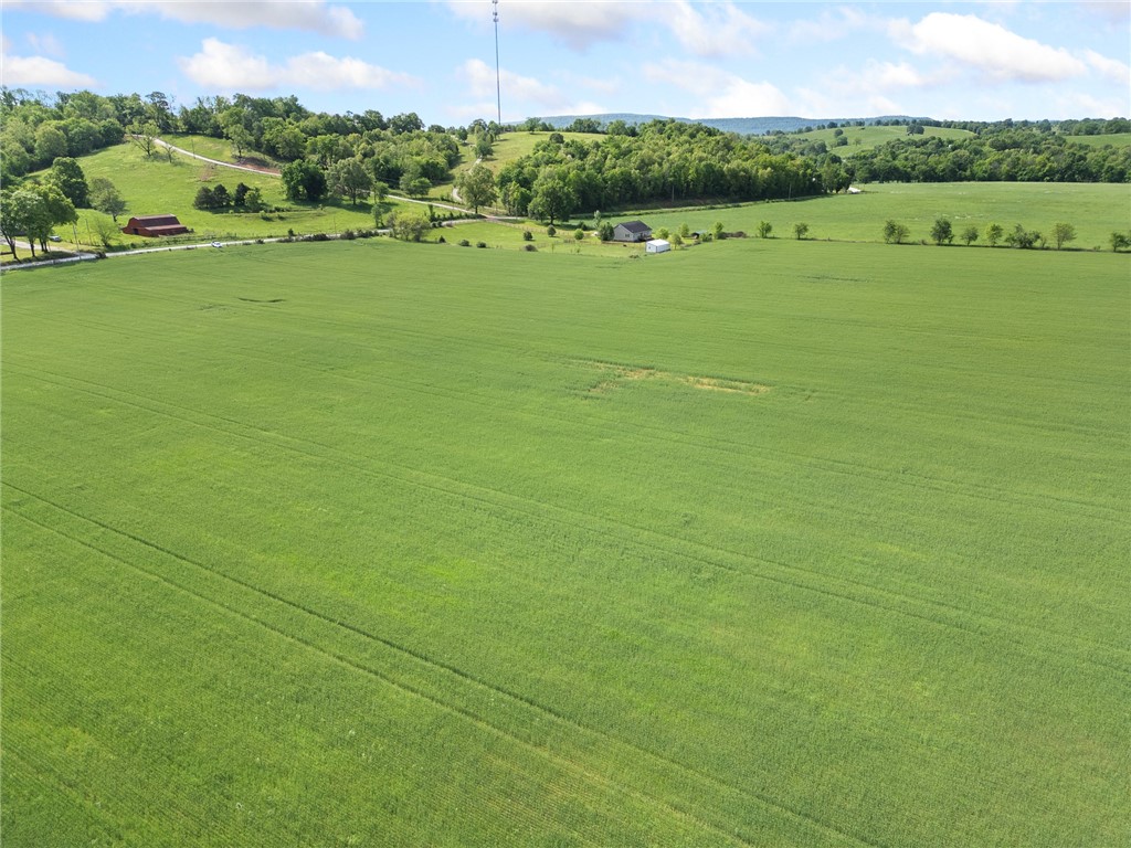 Alpena, Arkansas, 72611, United States, ,Land,For Sale,1903921