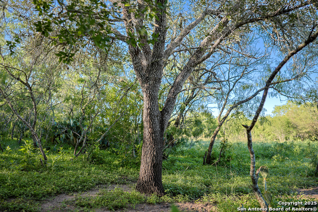 Beeville, Texas, 78102, United States, ,Land,For Sale,1942121